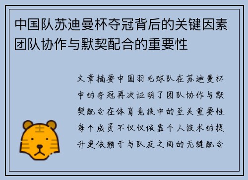 中国队苏迪曼杯夺冠背后的关键因素团队协作与默契配合的重要性